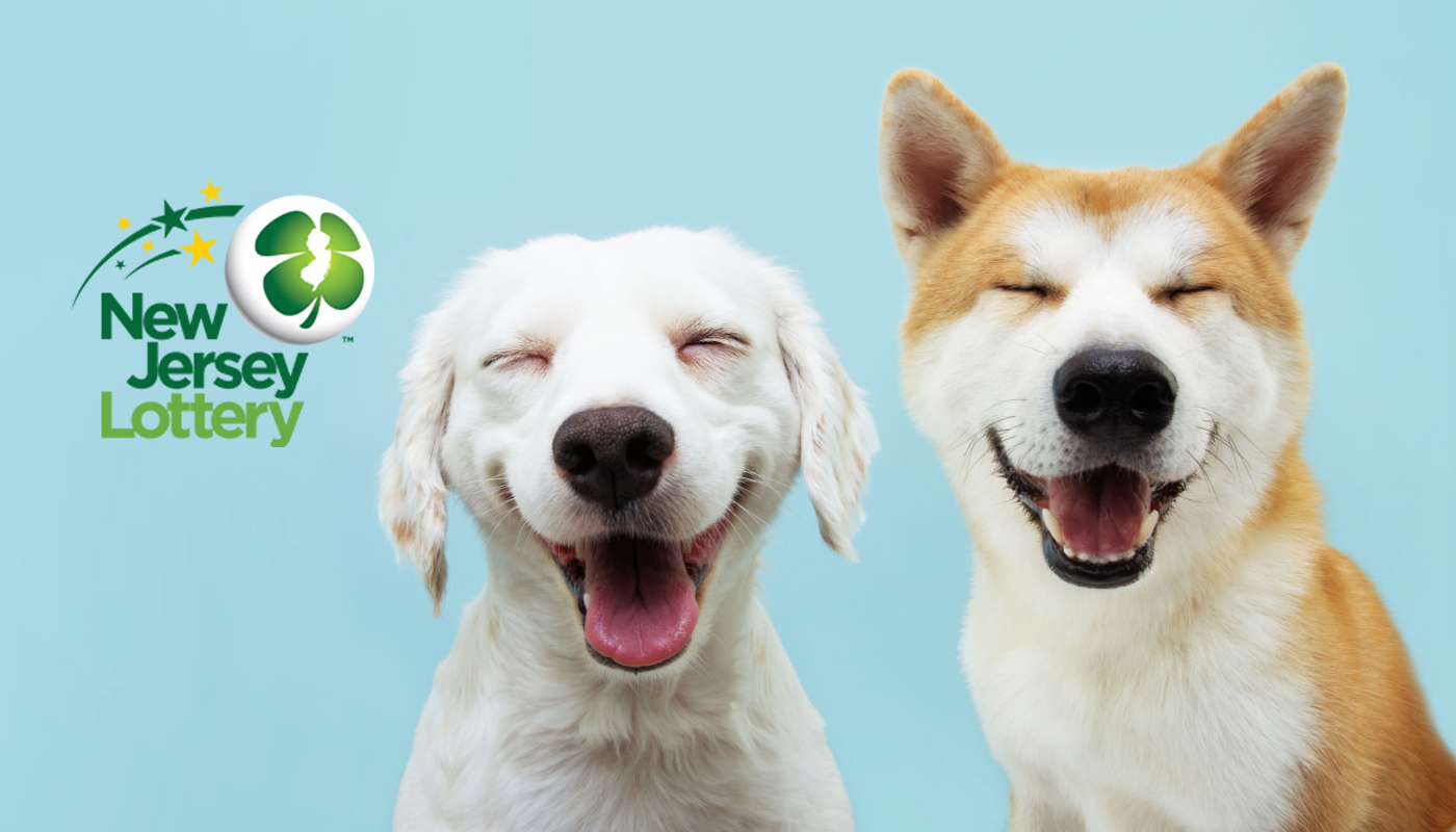 Could your dog be the face of a new scratch-off in New Jersey?
