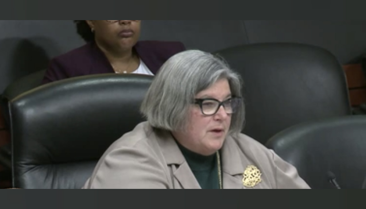 Assemblywoman Carrie Woerner, during an Assembly Racing and Wagering Committee meeting on Friday, November 21, 2025.