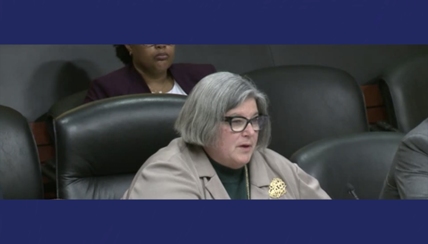 Assemblywoman Carrie Woerner, during an Assembly Racing and Wagering Committee meeting on Friday, November 21, 2025.